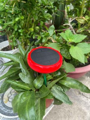 Đài Niệm Phật Ngoài Trời XH49